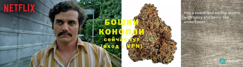 Бошки Шишки White Widow  Емва 